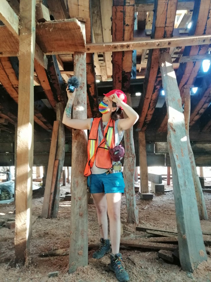 Podcast: 1/5 La Ceiba Biggest Sailing Cargo&nbsp;Ship