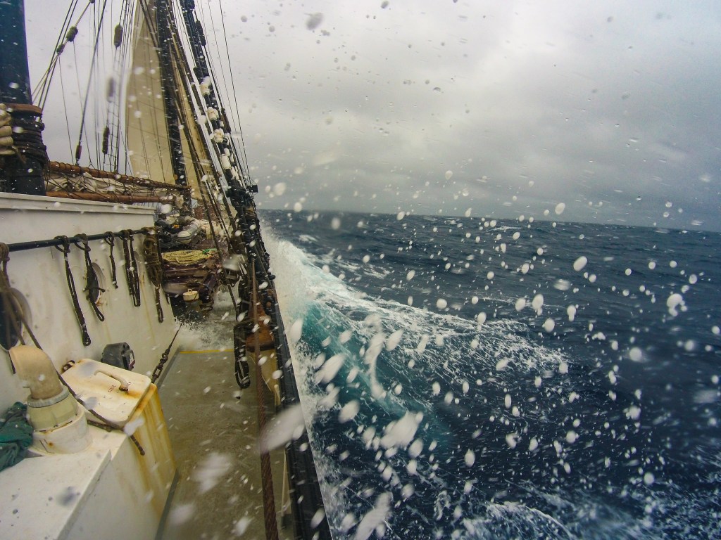 Avontuur Gulf of Mexico